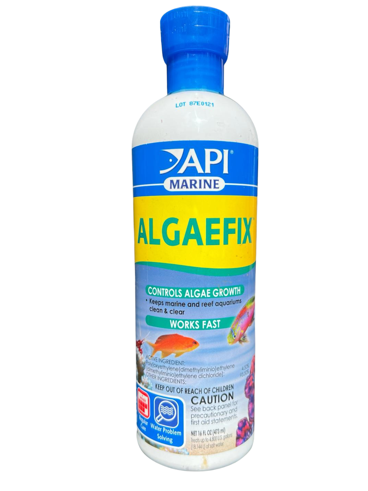 אלגפיקס למים מלוחים-ALGAEFIX