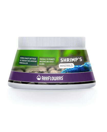 reeflowers שרימפס מינרלס
