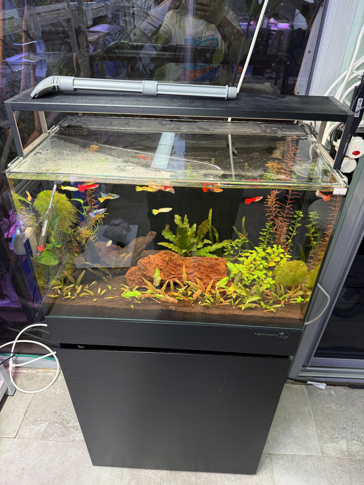 אקווריום קיוב פרימיום UNS 60C - זכוכית Ultra Clear