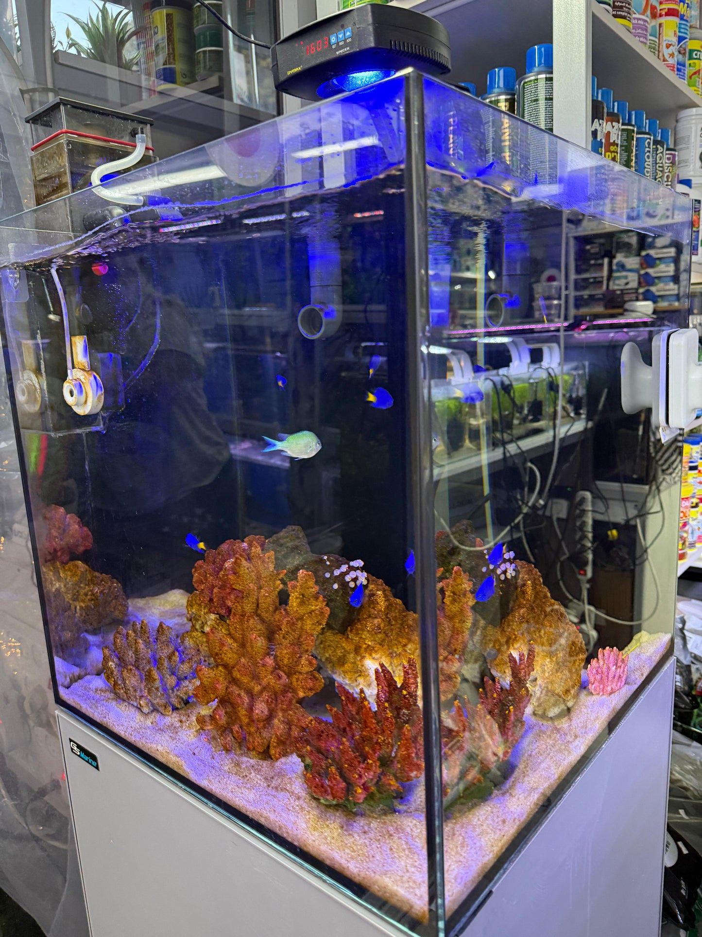 אקווריום Dymax GS Marine Cube 60×60×60