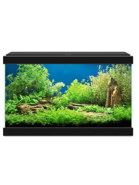 אקווריום הכל כלול 40 ס"מ לבן/שחור ציאנו אקווה 20- Ciano Aqua