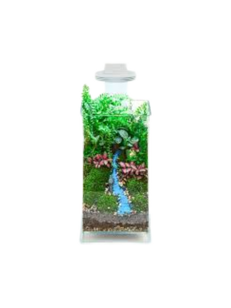 טרריום Eco Bottle Kit מבית Chihiros