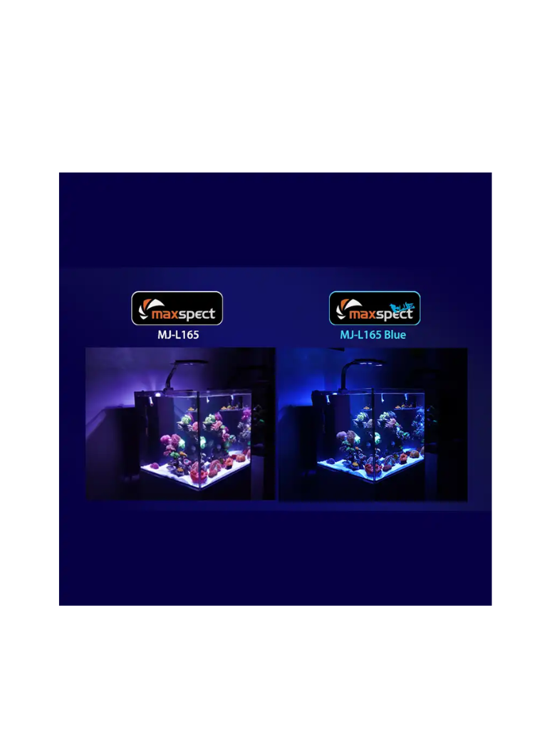 Maxspect MJ-L165 Blue-מערכת תאורת LED חכמה לאקווריומים