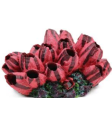 דקורציה אלמוג דגם SH 116 למים מלוחים ומתוקים - Coral decoration model SH 116 for salt and fresh water