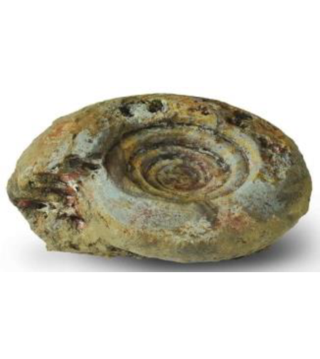סלע דקורציה סטייל אמונייט דגם 4 אקווריסטיק - 4 Decorative Rock Ammonite module