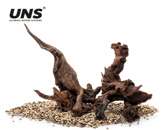UNS Malaysian Driftwood – גזע עץ טבעי פרימיום לאקווריום ולסקייפ