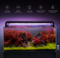 Chihiros WRGB II Slim 60 – תאורת LED מקצועית לאקווריום צמחייה 60 ס"מ