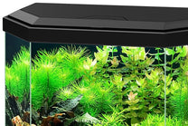 אקווריום אקווה ציאנו 30 הכל כלול 40 ס"מ - Ciano Aqua 30 All Included Freshwater Aquarium 40cm