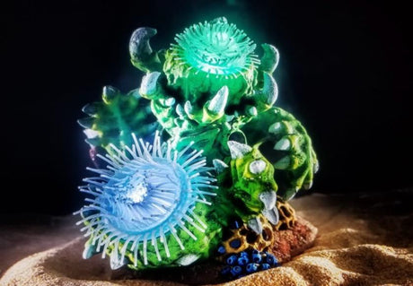 דקורציה "חיה" שושנות זזות למים מלוחים ומתוקים