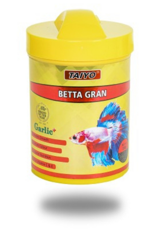 בטא גרן תאיו - betta gran Taiyo