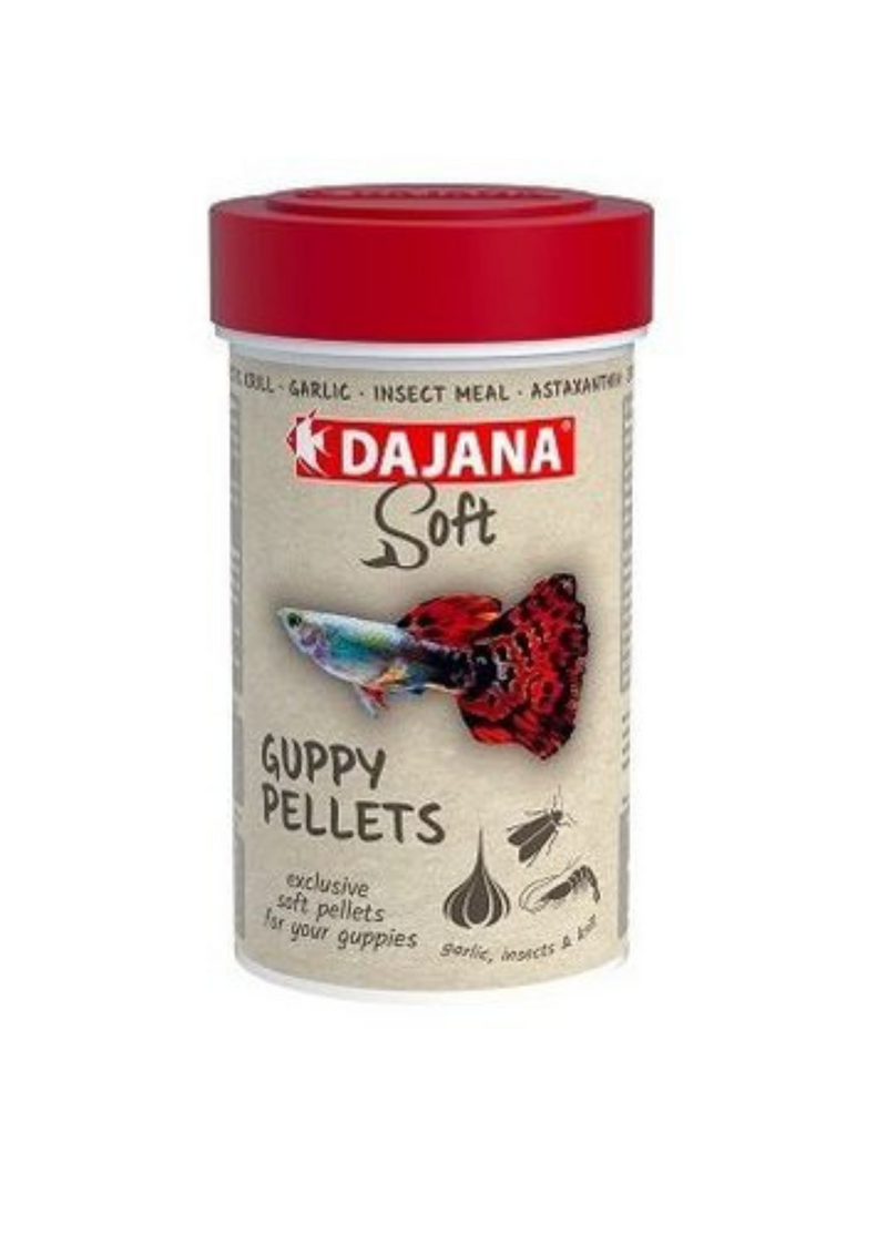 מזון לדגי גופי פלטס סופט DAJANA