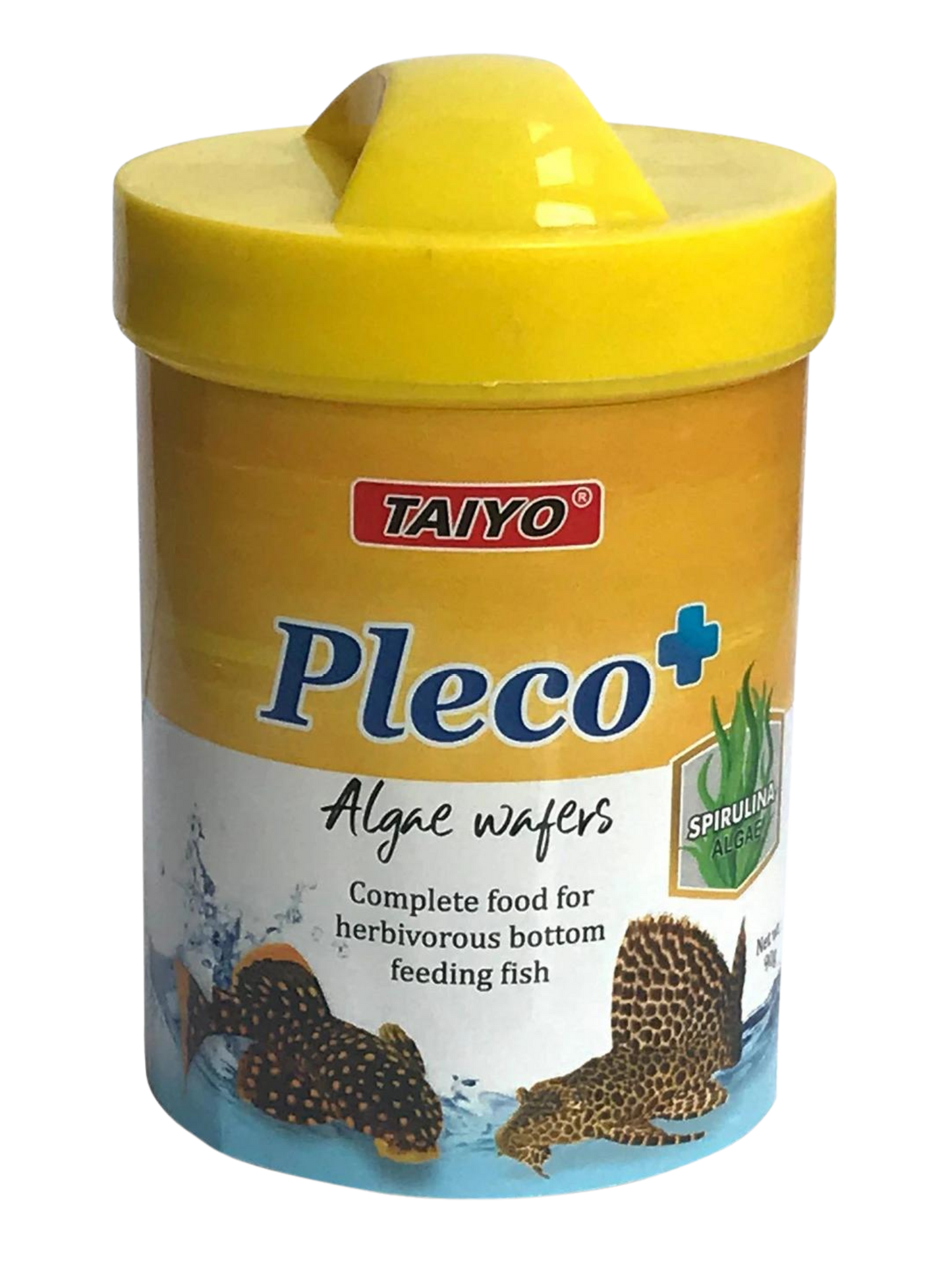 פלקו פלוס- מזון לדגים מנקים Taiyo - PLECO