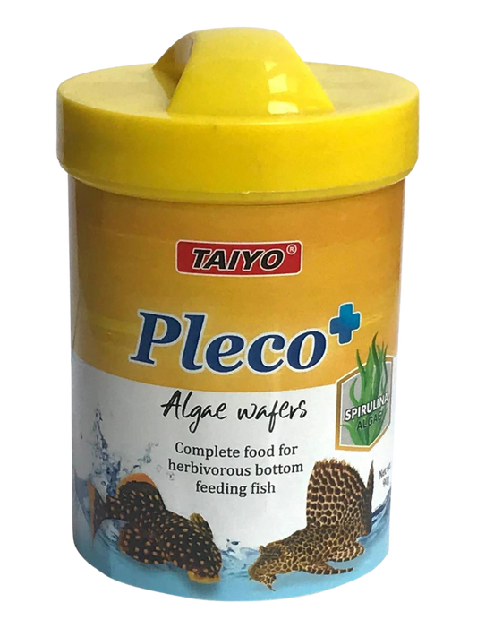 פלקו פלוס- מזון לדגים מנקים Taiyo - PLECO