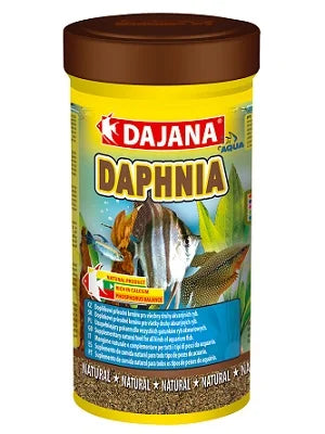 דפניה-Daphnie DAJANA