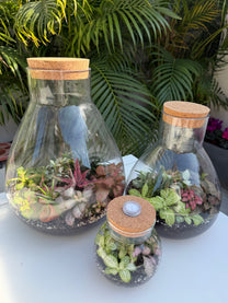 טרריום סגור אלאדין-גדול