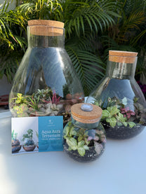 טרריום אלאדין אקווה אורה- בינוני