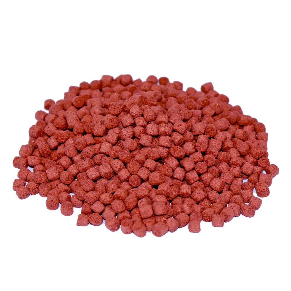 Prodac Red Parrot – מזון ייעודי לדגי רד פארוט