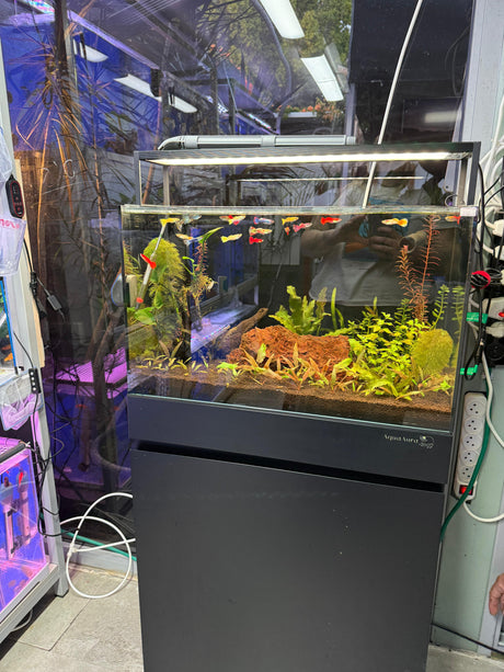 אקווריום קיוב פרימיום UNS 60C - זכוכית Ultra Clear