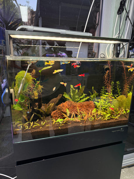 אקווריום קיוב פרימיום UNS 60C - זכוכית Ultra Clear