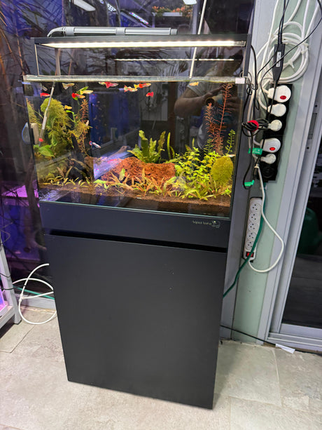 אקווריום קיוב פרימיום UNS 60C - זכוכית Ultra Clear