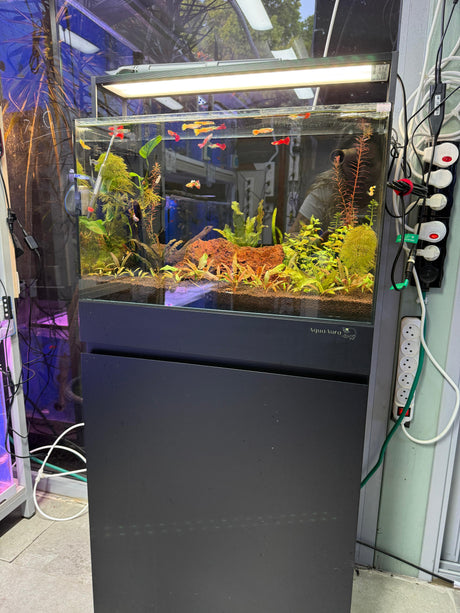 אקווריום קיוב פרימיום UNS 60C - זכוכית Ultra Clear