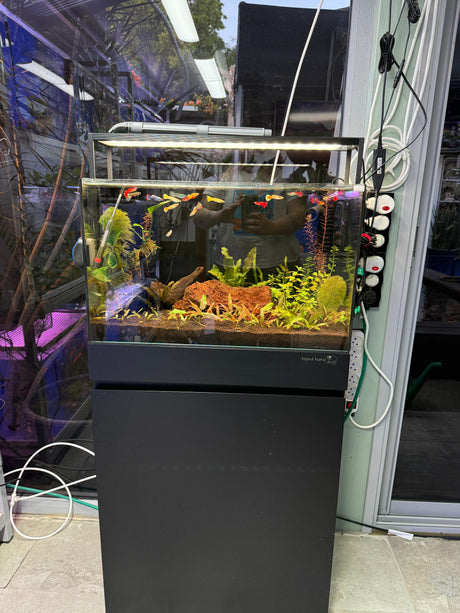 אקווריום קיוב פרימיום UNS 60C - זכוכית Ultra Clear