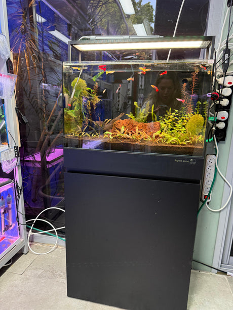 אקווריום קיוב פרימיום UNS 60C - זכוכית Ultra Clear