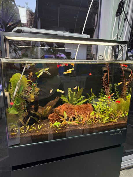 אקווריום קיוב פרימיום UNS 60C - זכוכית Ultra Clear