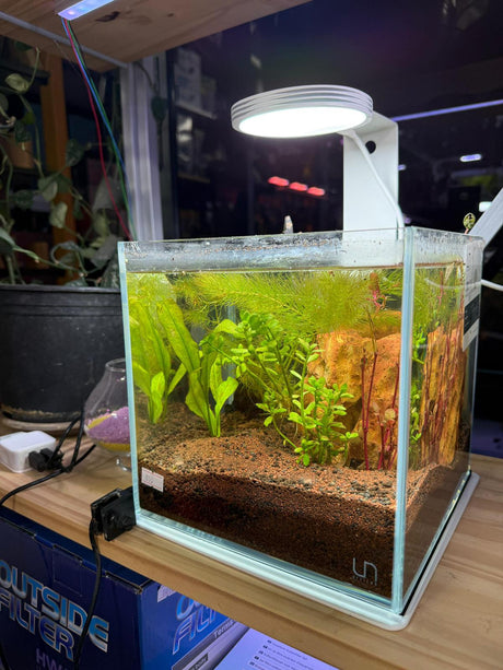 אקווריום זכוכית-Cube UNS 16C