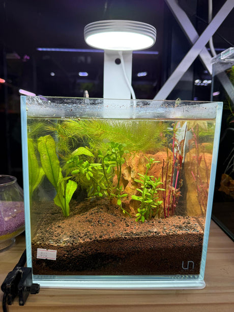 אקווריום זכוכית-Cube UNS 16C