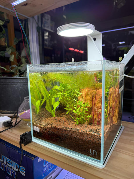 אקווריום זכוכית-Cube UNS 16C