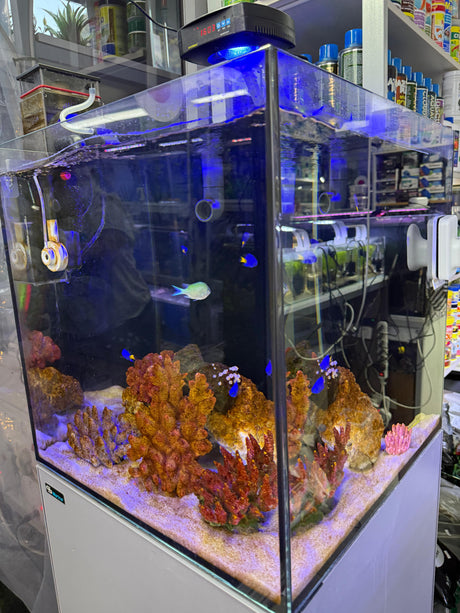 אקווריום Dymax GS Marine Cube 60×60×60