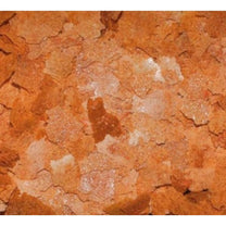 Dajana Artemia Flakes – מזון פתיתים עם ארטמיה לדגים טרופיים