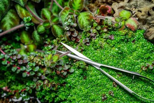 מספריים מקצועיות לצמחייה- aquatic plant